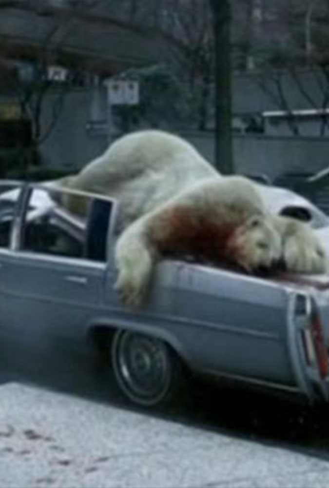 Plane Stupid, Polar Bears